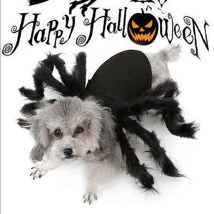 ❗️LAST ONE❗️Dog spider costume M/L